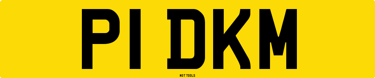 P1DKM MOT Check