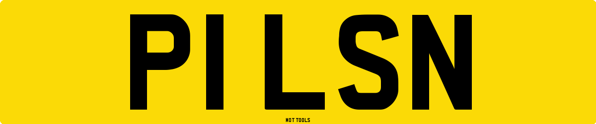 P1LSN MOT Check