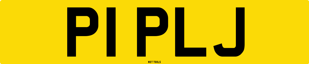P1PLJ MOT Check