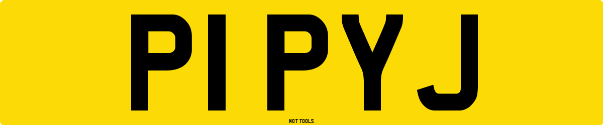 P1PYJ MOT Check