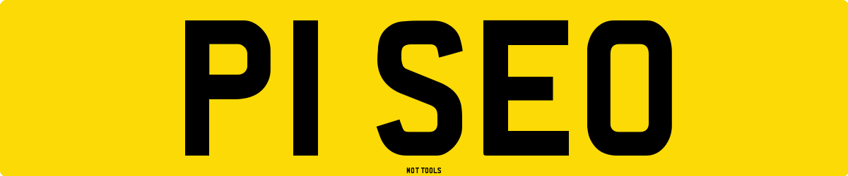 P1SEO MOT Check