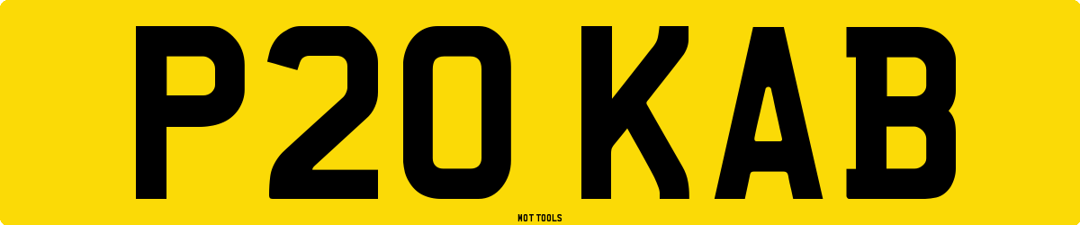 P20KAB MOT Check
