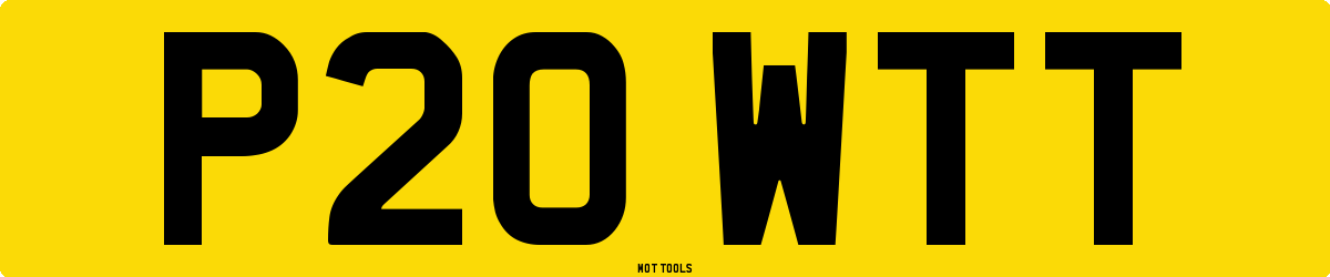 P20WTT MOT Check