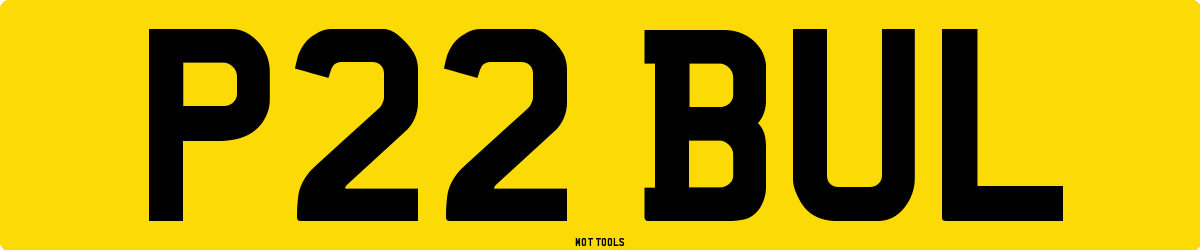 P22BUL MOT Check