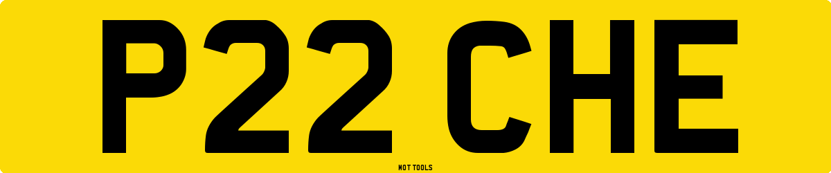 P22CHE MOT Check