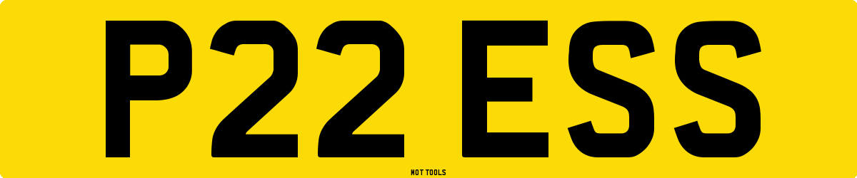 P22ESS MOT Check