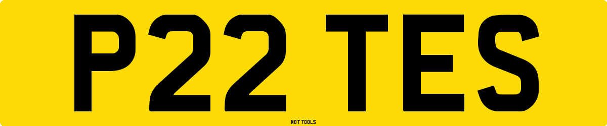 P22TES MOT Check
