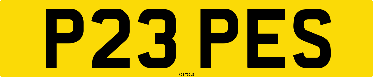 P23PES MOT Check