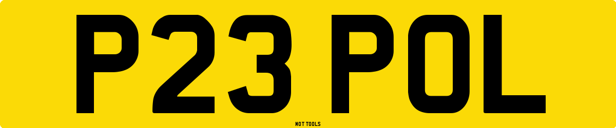 P23POL MOT Check