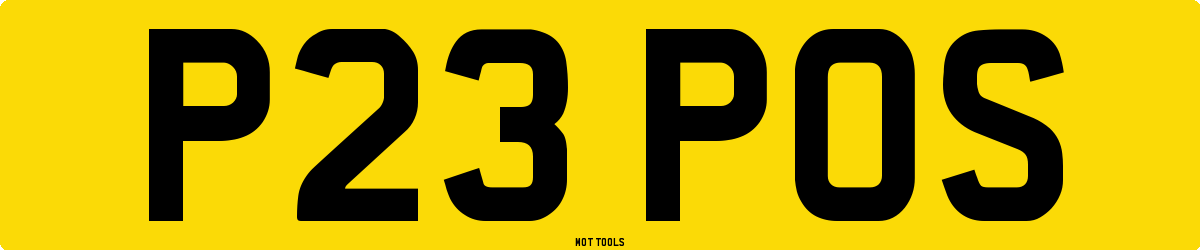 P23POS MOT Check
