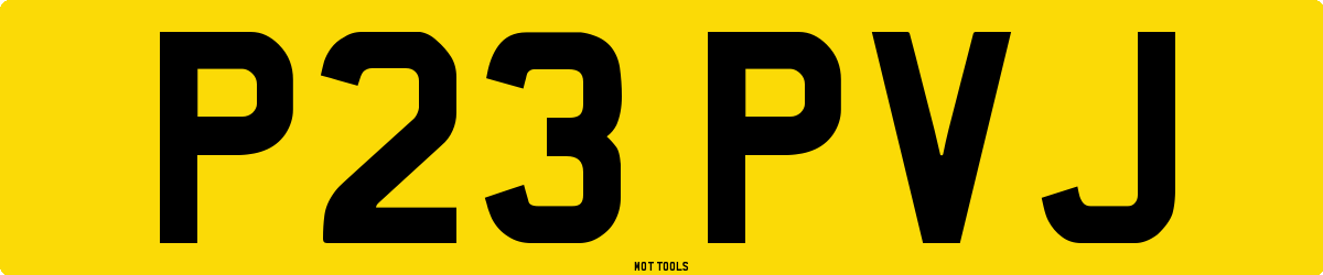 P23PVJ MOT Check