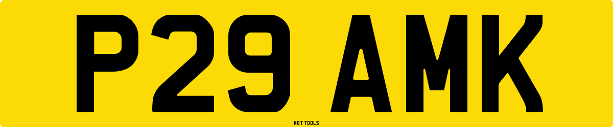 P29AMK MOT Check