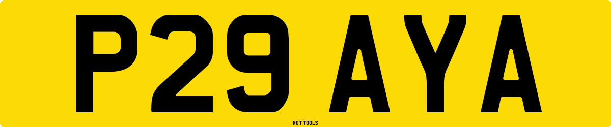 P29AYA MOT Check