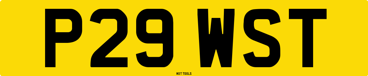 P29WST MOT Check