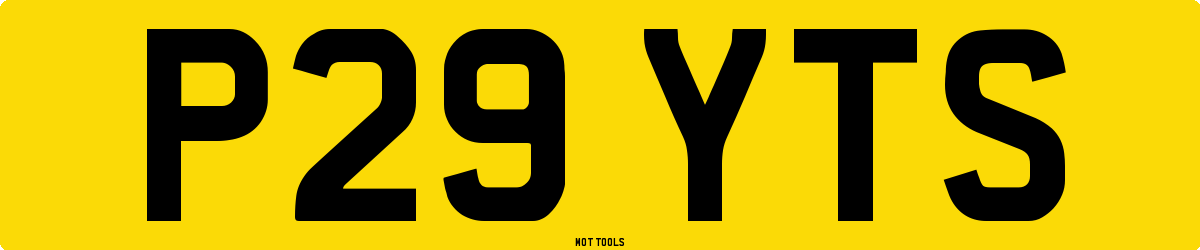 P29YTS MOT Check