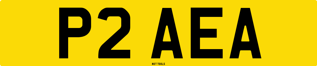 P2AEA MOT Check