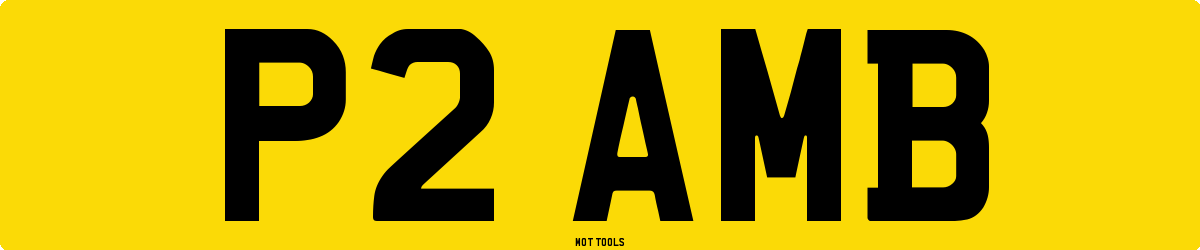 P2AMB MOT Check