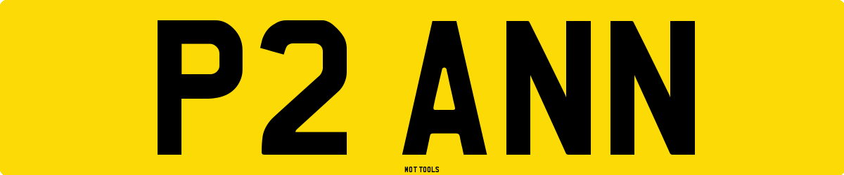 P2ANN MOT Check