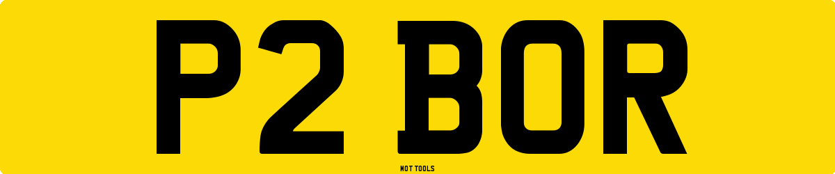 P2BOR MOT Check