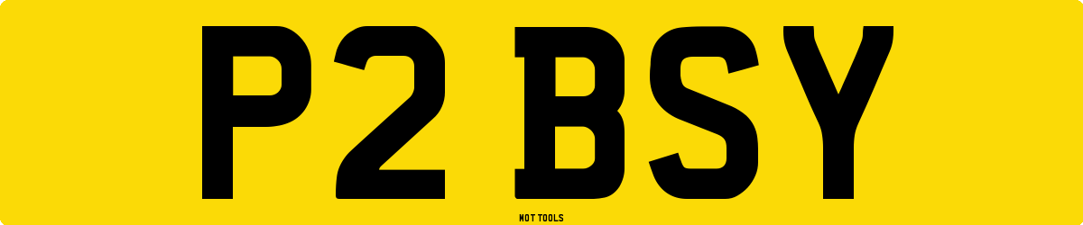 P2BSY MOT Check