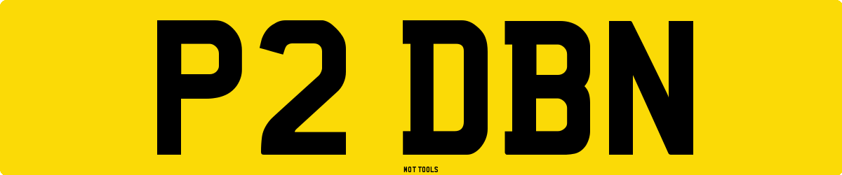 P2DBN MOT Check