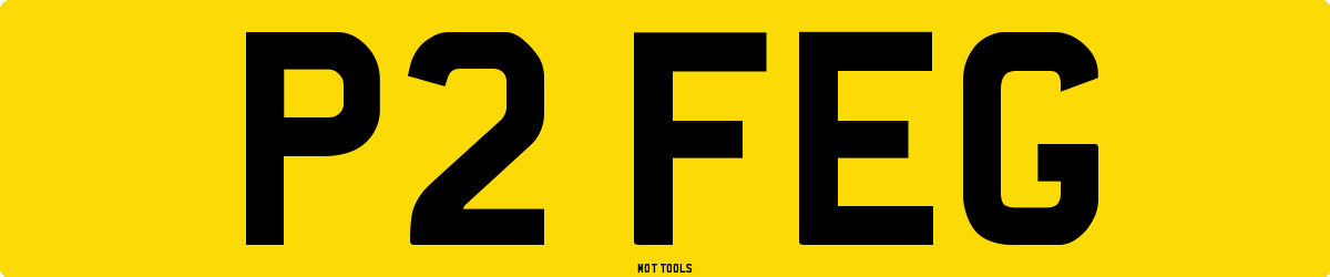 P2FEG MOT Check