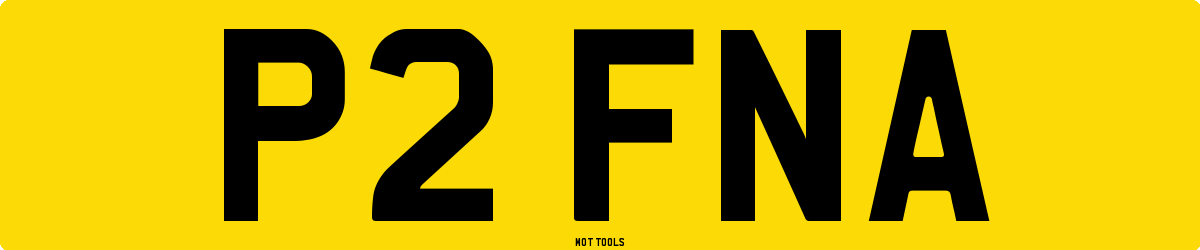P2FNA MOT Check