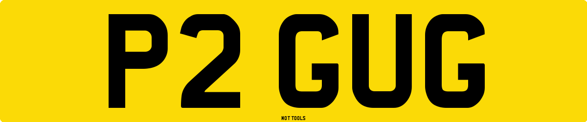 P2GUG MOT Check