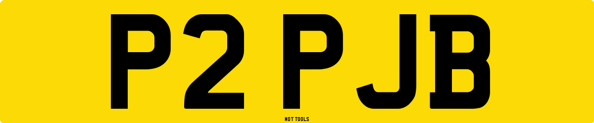 P2PJB MOT Check