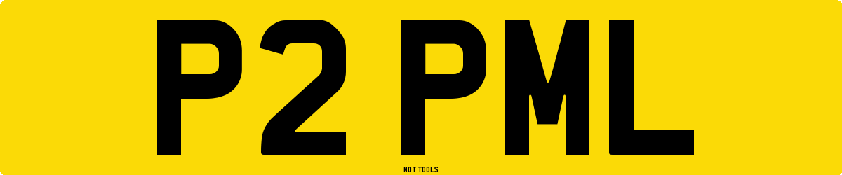 P2PML MOT Check