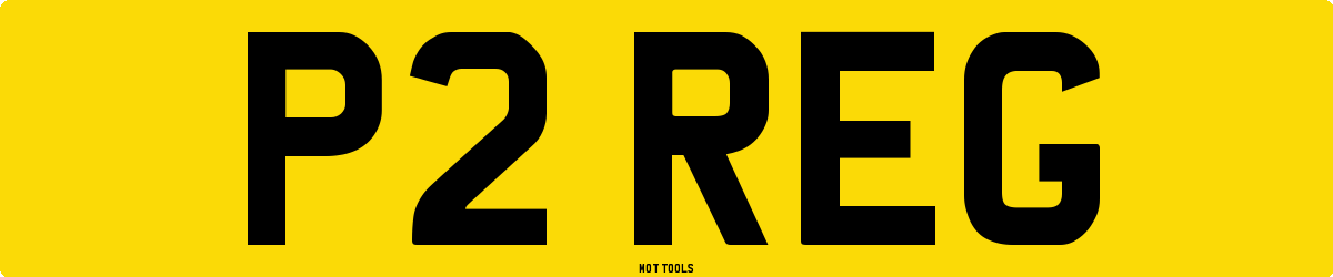 P2REG MOT Check