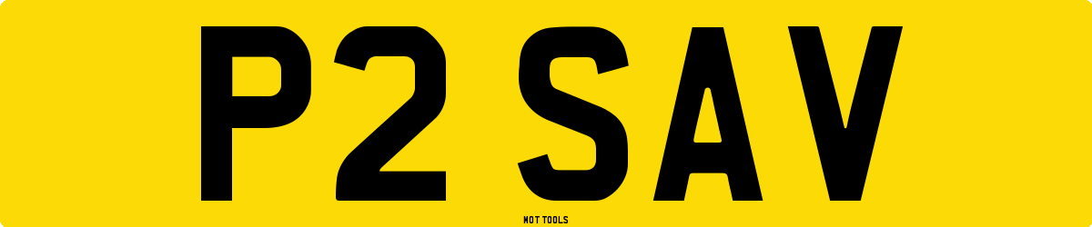 P2SAV MOT Check