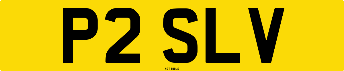 P2SLV MOT Check