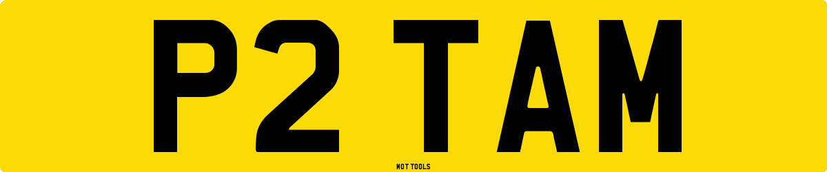 P2TAM MOT Check