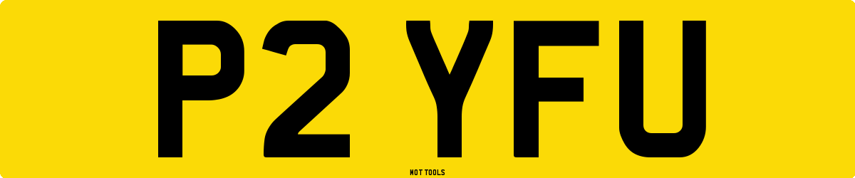 P2YFU MOT Check