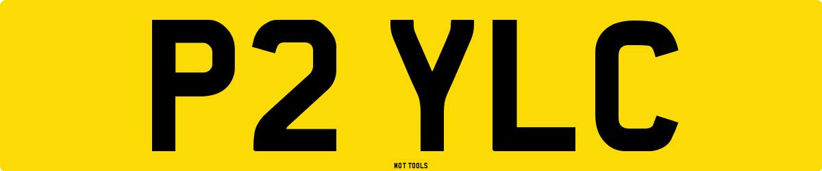 P2YLC MOT Check