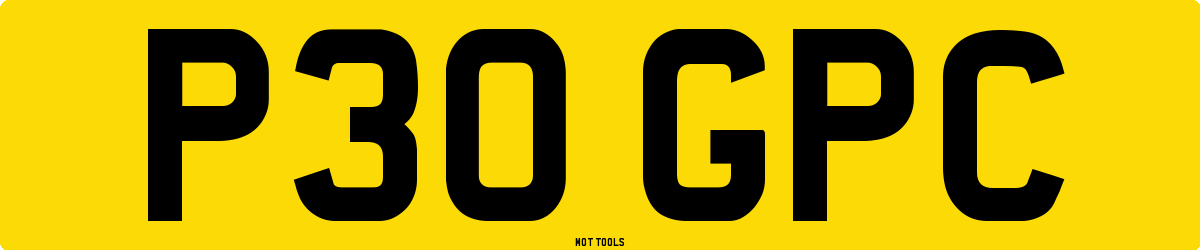 P30GPC MOT Check