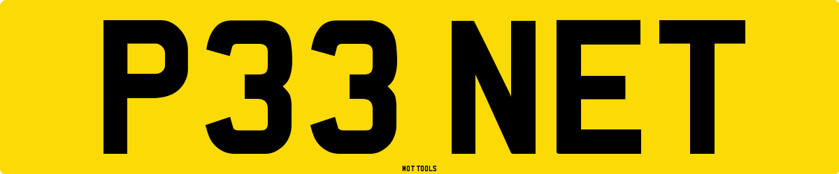 P33NET MOT Check