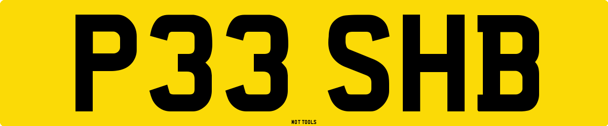P33SHB MOT Check