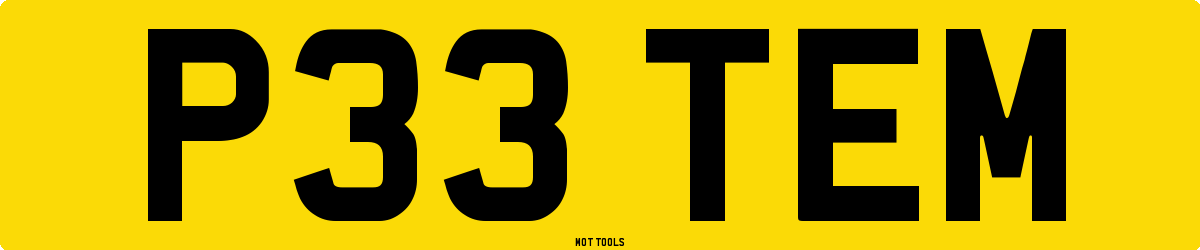 P33TEM MOT Check