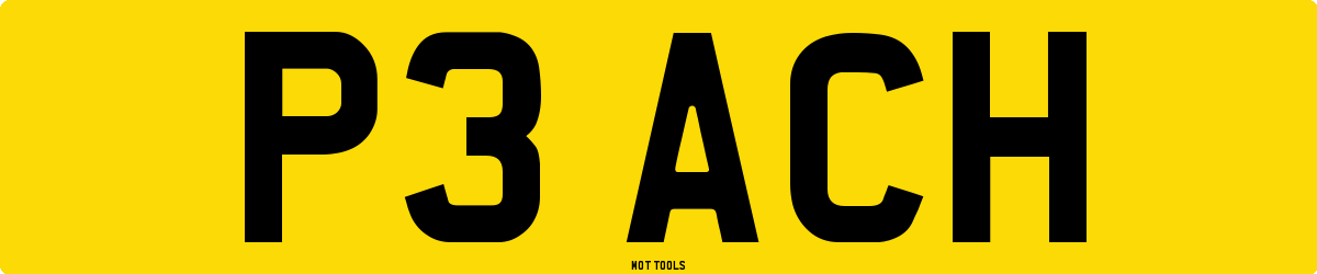 P3ACH MOT Check