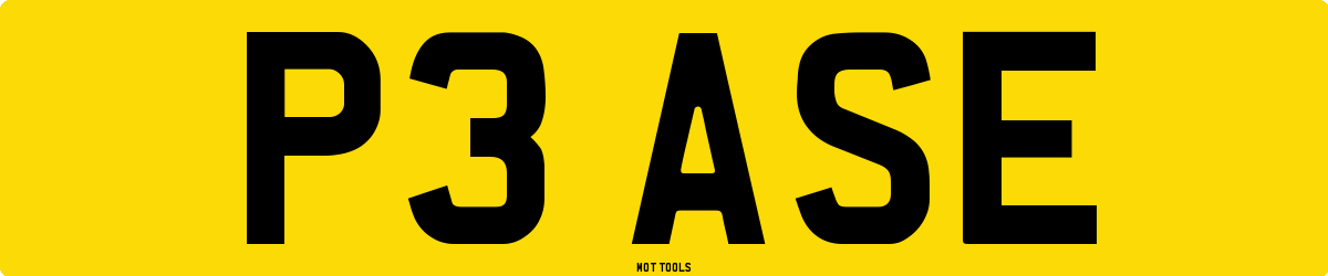 P3ASE MOT Check