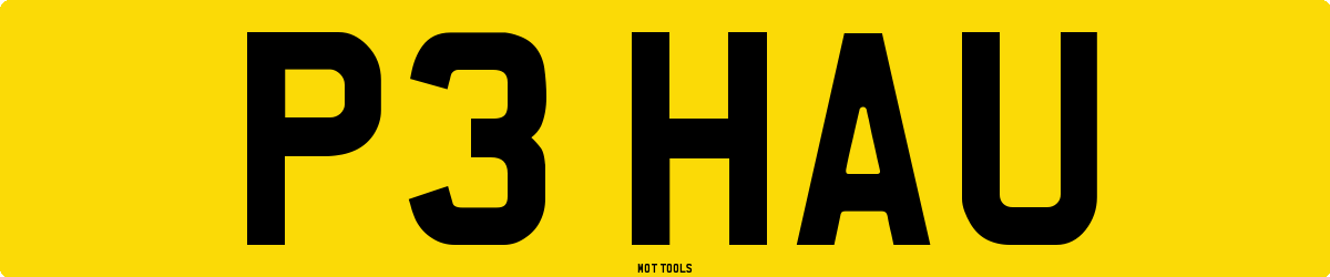 P3HAU MOT Check