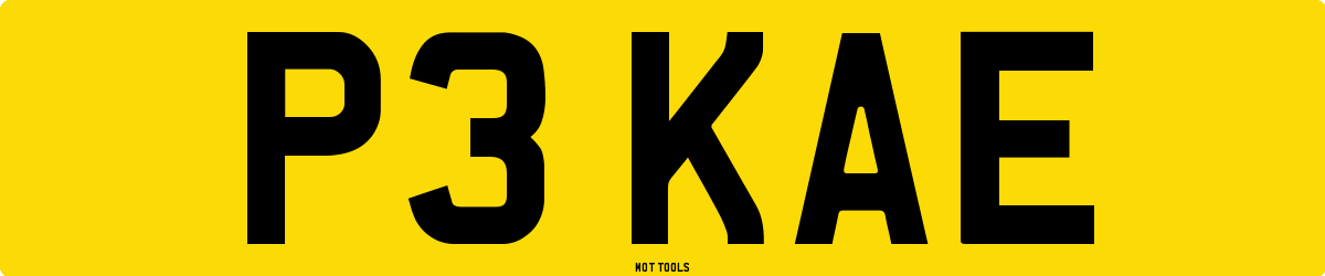 P3KAE MOT Check