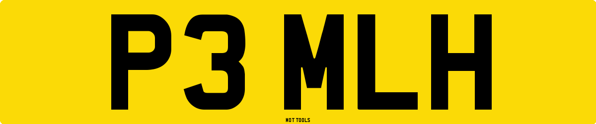 P3MLH MOT Check