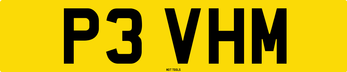 P3VHM MOT Check