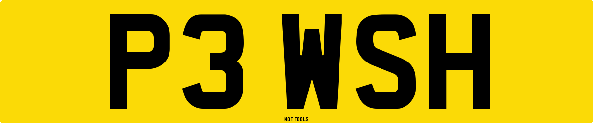 P3WSH MOT Check