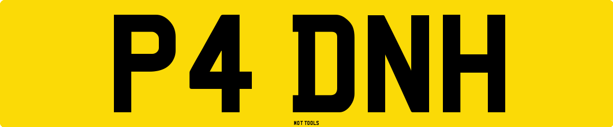 P4DNH MOT Check