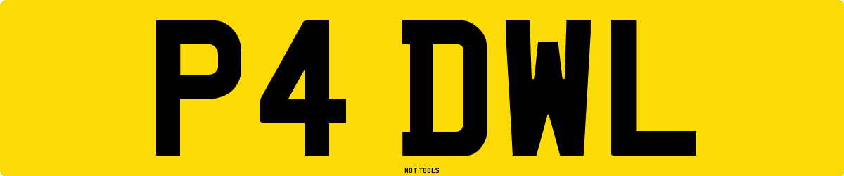 P4DWL MOT Check
