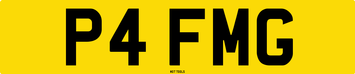 P4FMG MOT Check